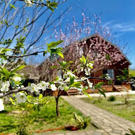 Sweet Village Ckaltubo Kültér fotó