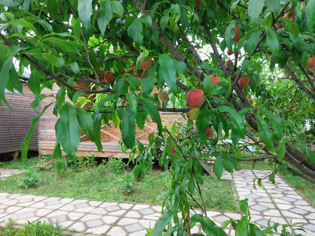 Sweet Village Ckaltubo Kültér fotó