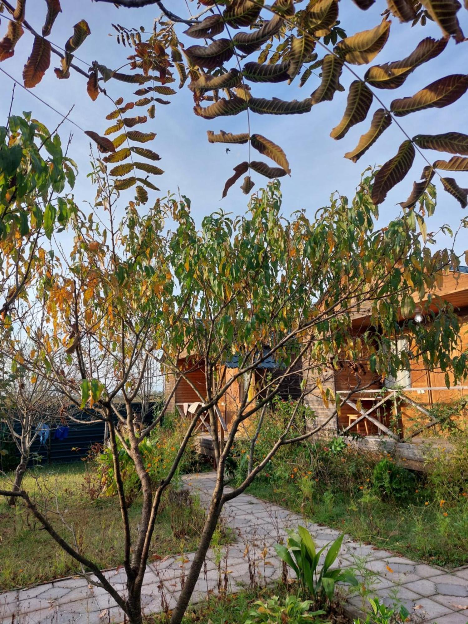 Sweet Village Ckaltubo Kültér fotó