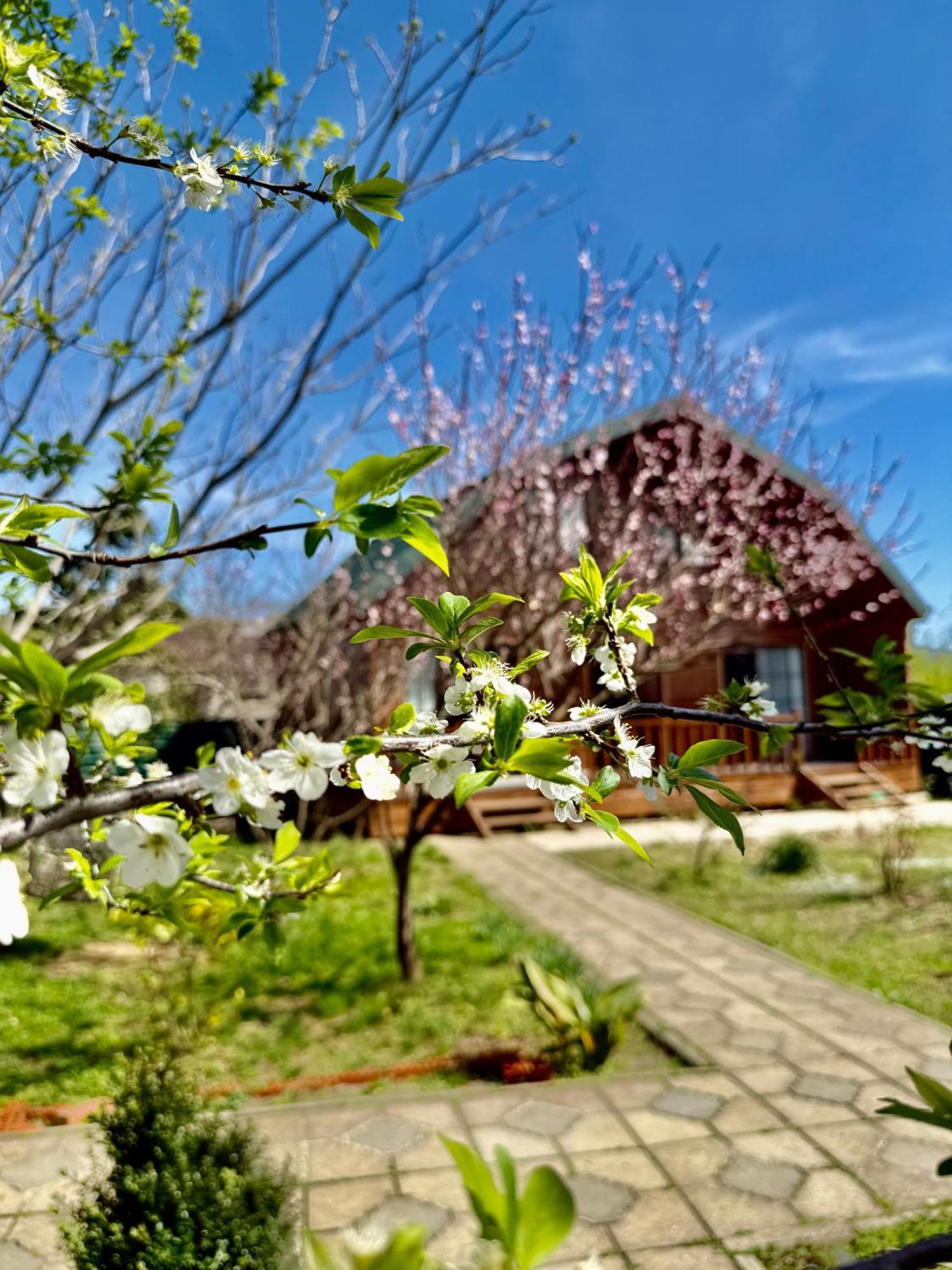 Sweet Village Ckaltubo Kültér fotó